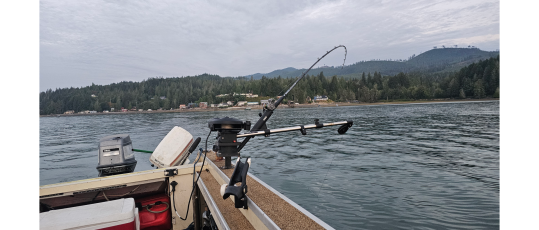 Fish'In The Sound - Puget that is Fish'In The Sound - Puget that is