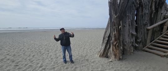 A Vacation From The Desert